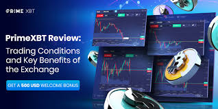 Exploring PrimeXBT Supported Countries for Global Trading