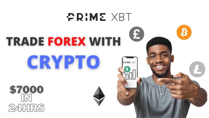 Exploring the PrimeXBT Website Your Gateway to Cryptocurrency Trading