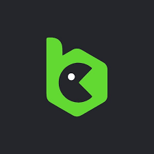 Exploring the Excitement of bc.game casino online